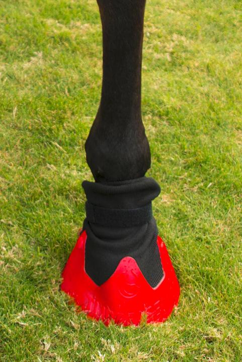 Actual product image Kerbl Tubbease