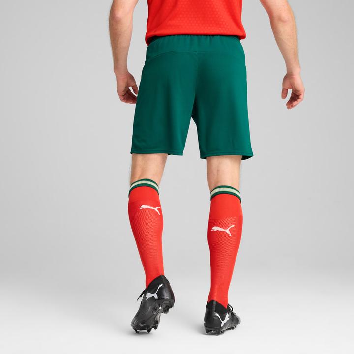 Image du produit Puma FPF Short Replica (XL)
