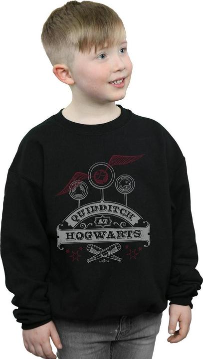 Actual product image Boys Quidditch At Hogwarts Sweatshirt (128)