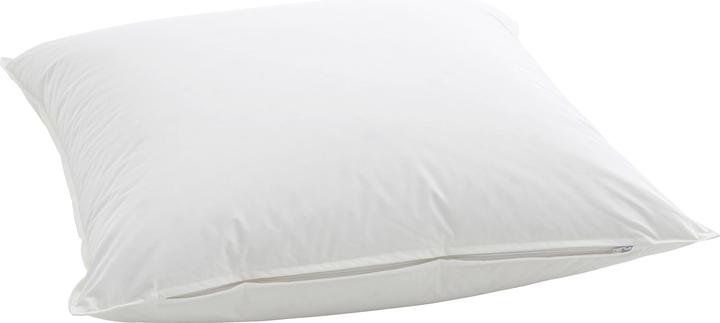 Image du produit Billerbeck Casa Nature (65 x 65 cm)
