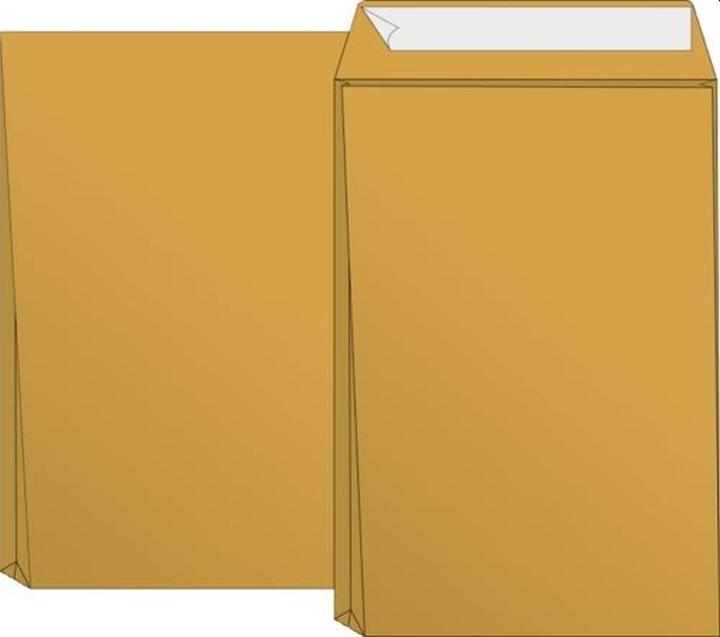 Versandtaschen B5 Haftklebung 110g/qm braun VE=50 Stück (1 x)