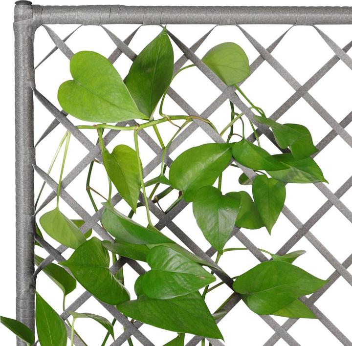 Actual product image Casaria Flower box (30.50 cm)