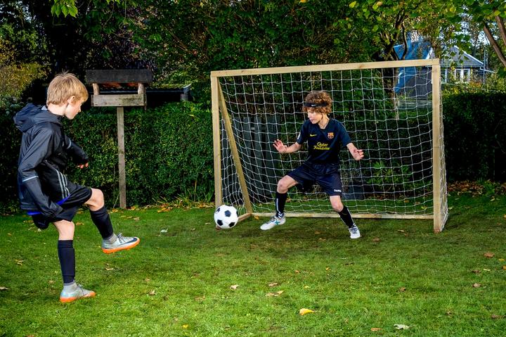 Produktbild Euro Play Homegoal Classic Senior
