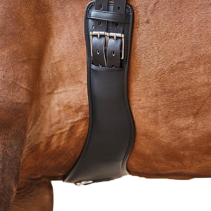 Immagine prodotto Collegiate UTWB626 P