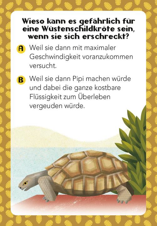 Immagine prodotto National Geographic Quiz sugli animali. 100 domande sugli animali per gli appassionati di quiz e gli amanti degli (Tedesco)