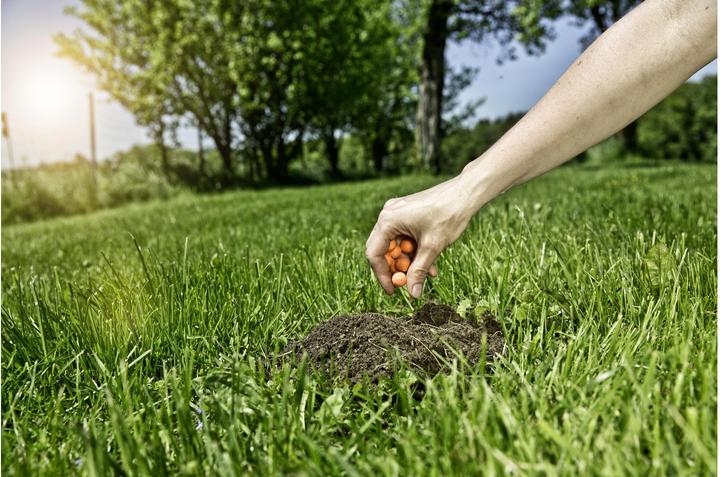Produktbild Windhager Maulwurf-Vertreiber
