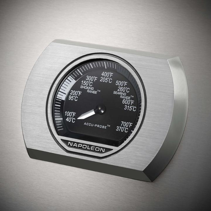 Immagine prodotto Napoleon Rogue XT 365 (13.50 kW)