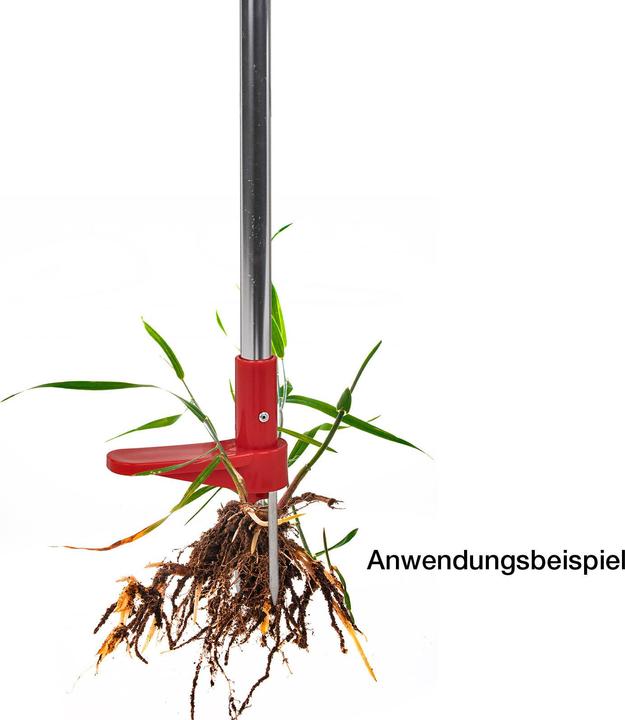 Actual product image Dema Weeder / Planting Aid Speedy Weedy