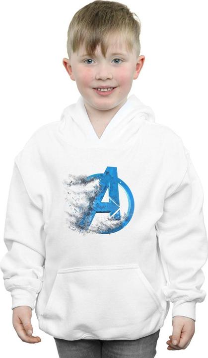 Actual product image Boys Avengers Endgame Dusted Logo Hoodie (128)