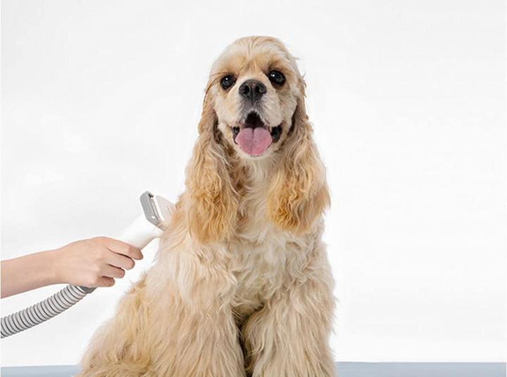 Immagine prodotto Neakasa Tagliacapelli per cani (Cane, 31464 ml)