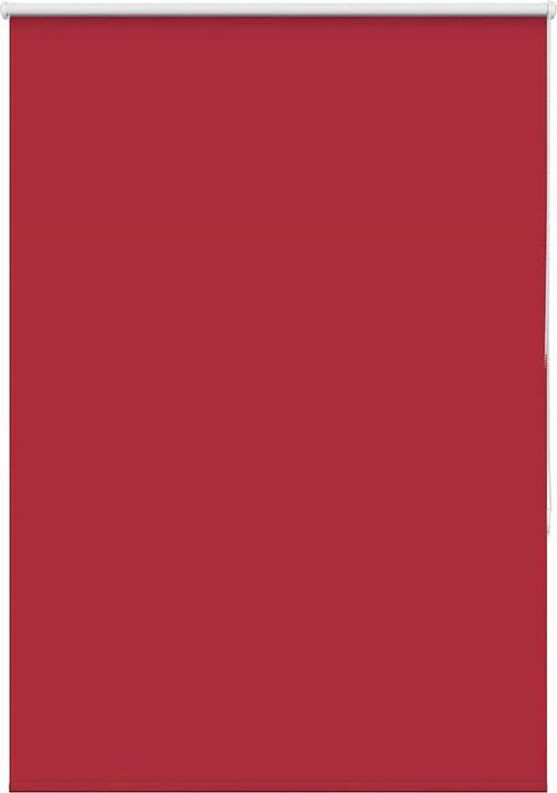Rot