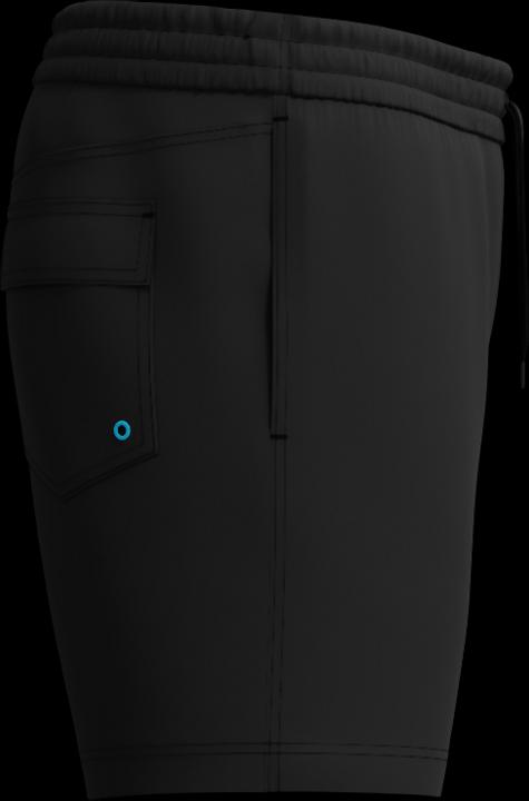 Image du produit Speedo Medley Logo 16" Watershort (L)