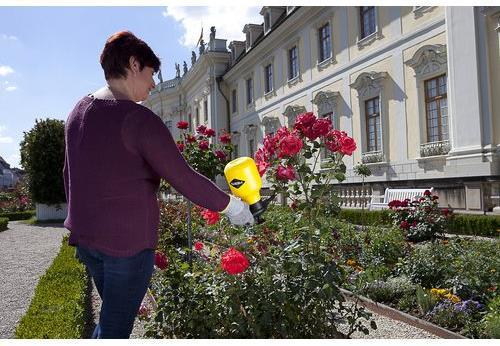 Produktbild Mesto Drucksprüher BUGSI (1.50 l)