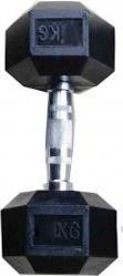 Actual product image Sko Hex rubber dumbbell 30kg (10 x 30 kg)