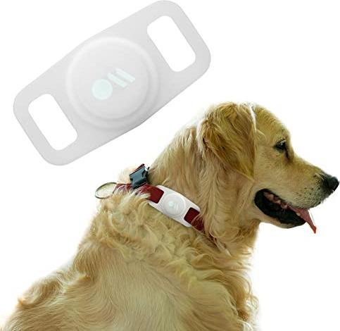 Actual product image Case-Mate AirTag Dog Collar Mount