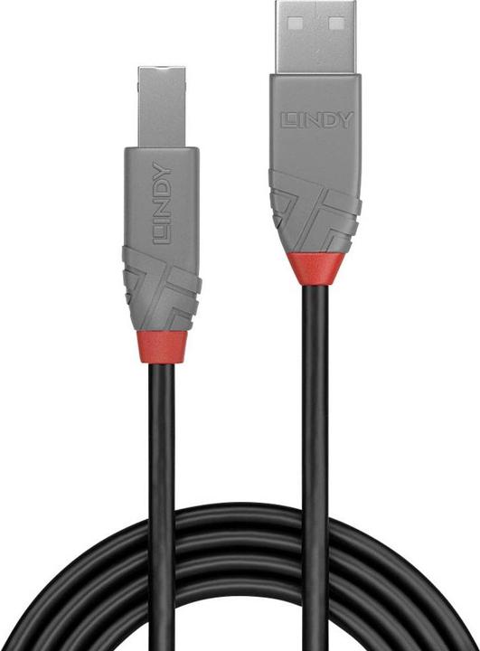 Image du produit Lindy USB A — USB B (3 m, USB 2.0)