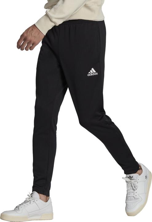 Actual product image adidas Entrada 22 Training Pants HC0332 Czarne M (M)