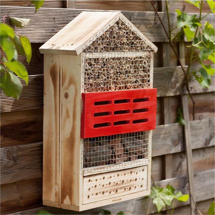 Image du produit Windhager Hôtel Insect 5 étoiles (Chansons accrocheuses, Chrysanthèmes, Bourdons, Abeilles sauvages, Coccinelles)