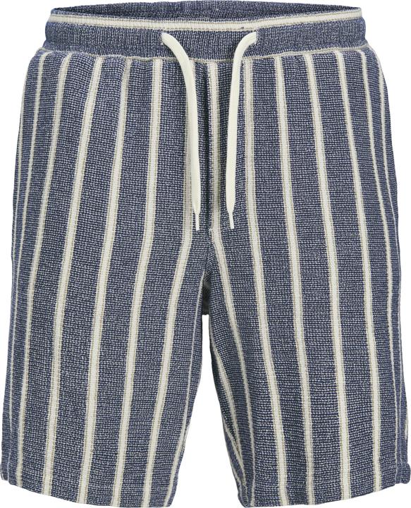 Jack & Jones Jpstjaiden Coba Stripe Jog Short Srt Sn