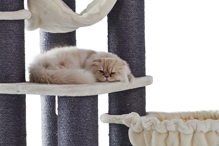 Image du produit Nobby Chilo (165 cm, Beige, Anthracite)