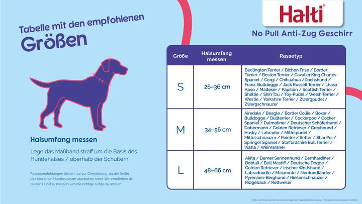 Produktbild Company of Animals Halti No Pull Antizug M Harness (M, Hund, Allgemein)