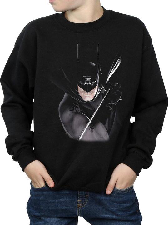 Image du produit - Sweat BATMAN BY ALEX ROSS - Garçon (140, 146)