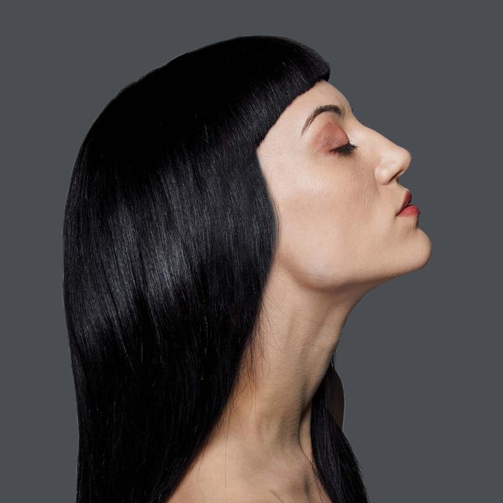 Actual product image Homedics Progloss Touch Digital Styler (Straightening iron)