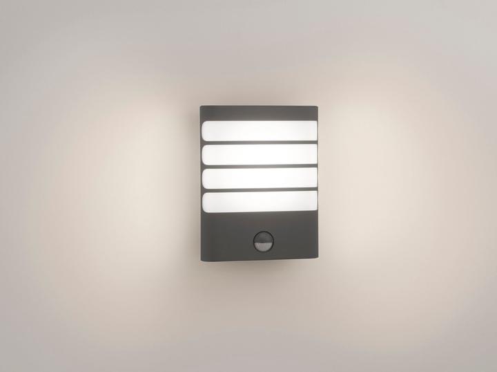 Actual product image Philips Raccoon (270 lm)