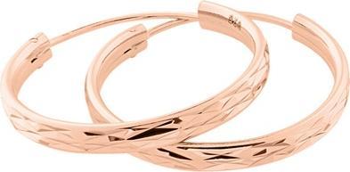 Produktbild JVD Pink gold plated earrings circles SVLE0205XD5RO - Diameter: 5 cm