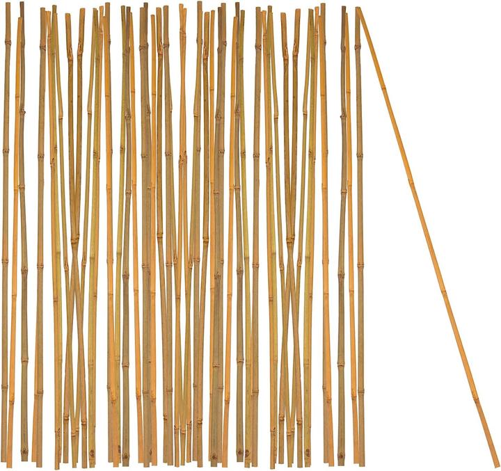 Produktbild BigDean Bambus-Pflanzenstab Rankhilfe (50 Stück) (105 cm, 1 cm)