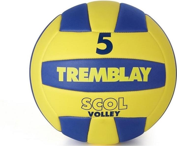 Image du produit Hasbro Ballon Tremblay scol’volley