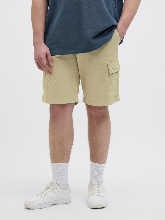 Image du produit Jack & Jones Plus Size Loose Fit Cargo Shorts Cargo Shorts (42)