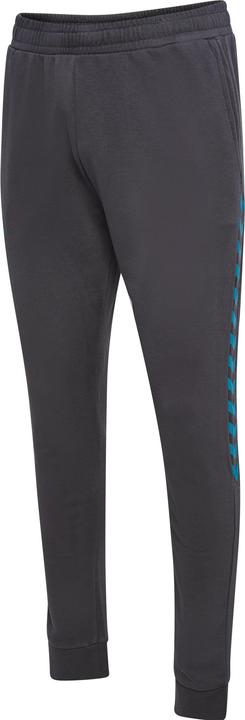 Produktbild hummel hml STALTIC Trainingshose Herren (M)