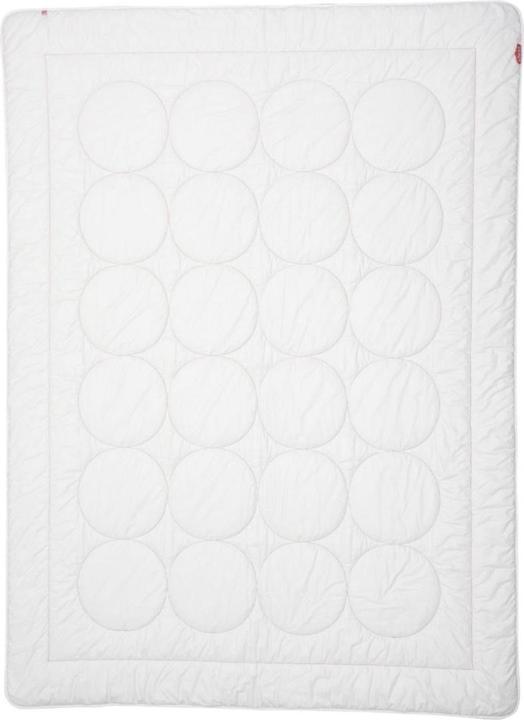 Produktbild Zizzz Ganzjahres Duvet Wolle (Swisswool) (1670 g, 240 x 240 cm)