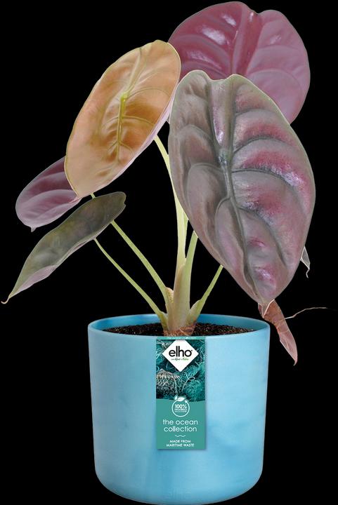 Produktbild Elho The Ocean Collection (22.30 cm)