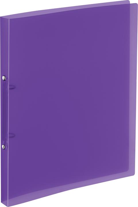 Immagine prodotto Kolma Raccoglitore ad anelli Easy A4 morbido 2 anelli altezza di riempimento 1 cm viola (A4, 21 mm, 1 Pezzo/i)