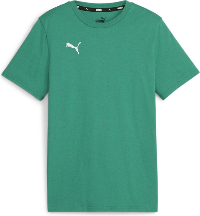 Puma teamGOAL Casuals Tee Jr