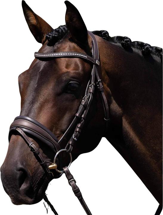Image du produit Premier Equine Veneto