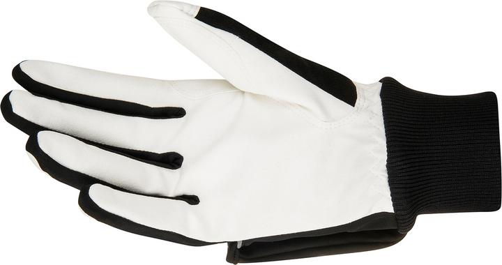 Immagine prodotto Daehlie Copertura della gara Glove (9)