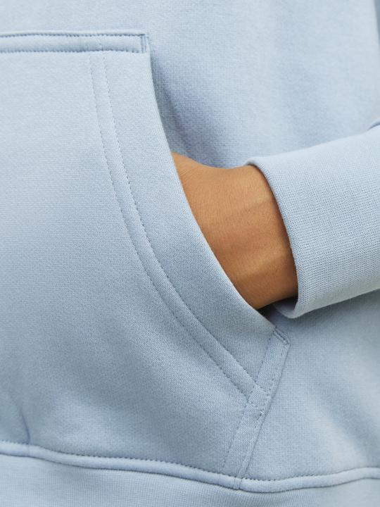 Actual product image Jack & Jones Jorvesterbro Sweat Hood Noos Mni (110)