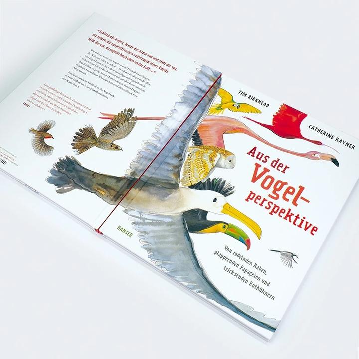 Image du produit Aus der Vogelperspektive (Allemand, Tim Birkhead, Catherine Rayner, Rita Gravert, 2023)