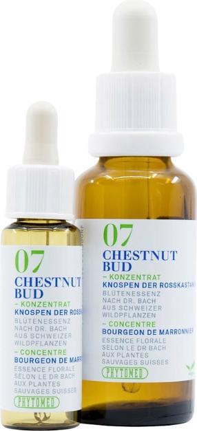Immagine prodotto Phytomed Bachblüten No7 Knospen der Rosskastanie (1 Pezzo/i, Liquido, 24 g)
