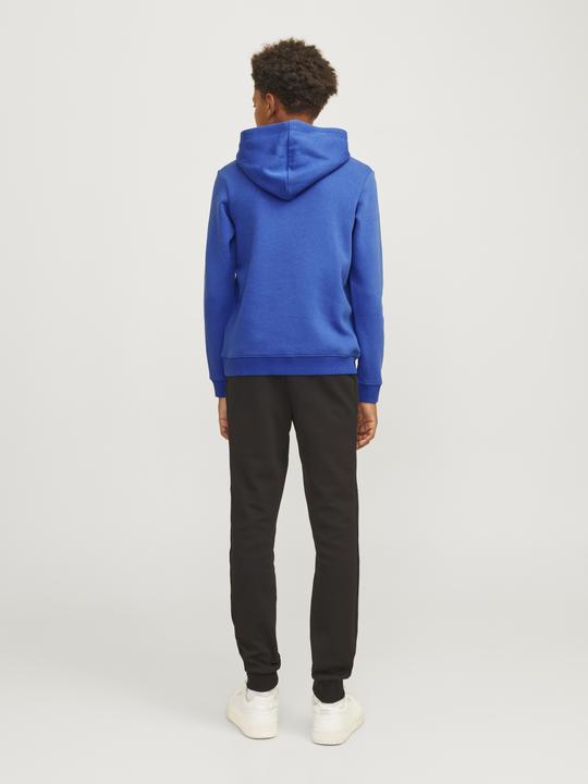 Image du produit Jack & Jones Jcomountain Logo Sweat Hood Sn Jnr (152)