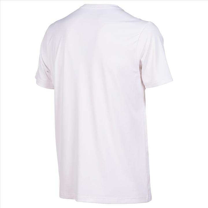 Actual product image Arena Team T-Shirt Solid (L)