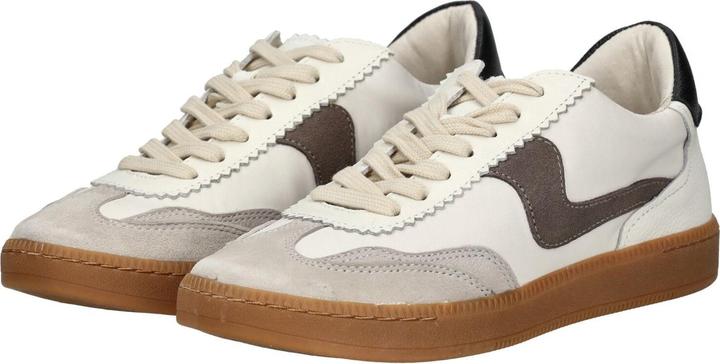 Image du produit Dolce Vita Sneaker (37)