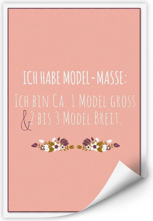 Immagine prodotto Trenddeko Ho la massa del modello..... (50 x 80 cm)