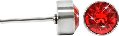 Produktbild Levien Playful Steel Stud Earrings with Light Siam Chaton
