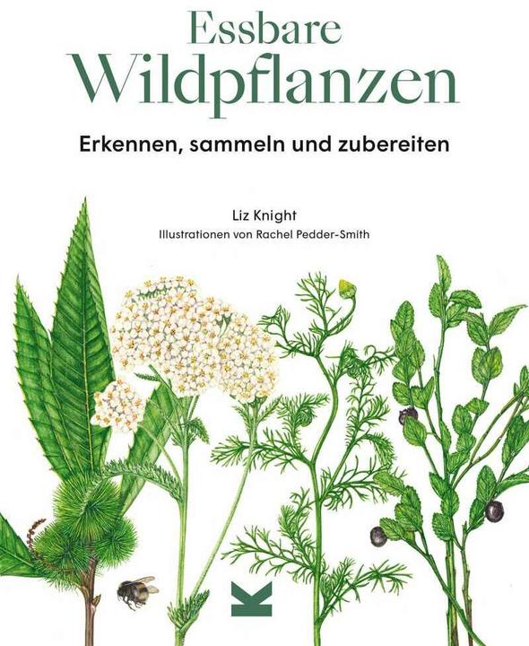 Produktbild Essbare Wildpflanzen (Deutsch, Liz Knight, Wiebke Krabbe, Rachel Pedder-Smith, 2021)