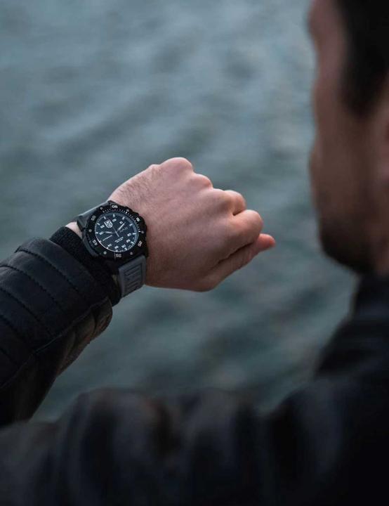 Actual product image Luminox Master Carbon Seal (Diving watch, 45 mm)