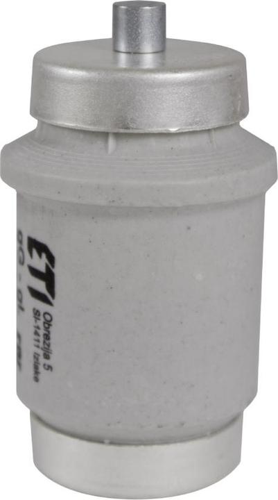 Eti Polam Sicherungseinsatz 100A DIV gG 500V E40 (002314402) (NH-DIN Sicherung, 100 A)